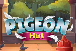 Pigeon Hut Slot