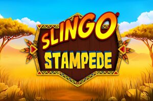 Slingo Stampede Slot