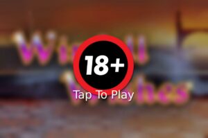 Winfall Wishes Slot